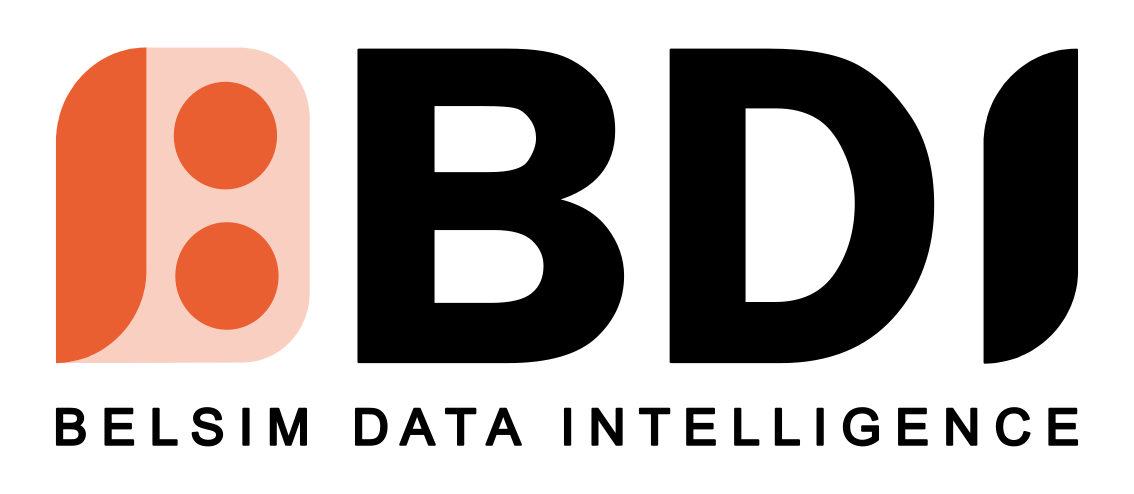 Belsim Data Intelligence
